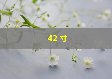 42 寸